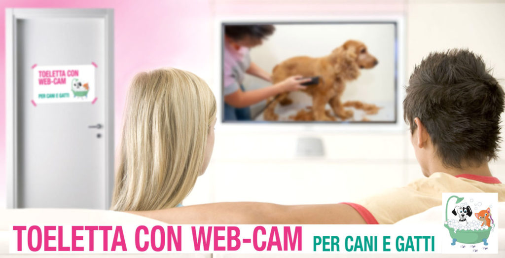 Arca-di-Noè-Roma-toelettatura-con-servizio-webcam-integrato