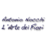 Antonio Nocchi L’Arte dei Fiori