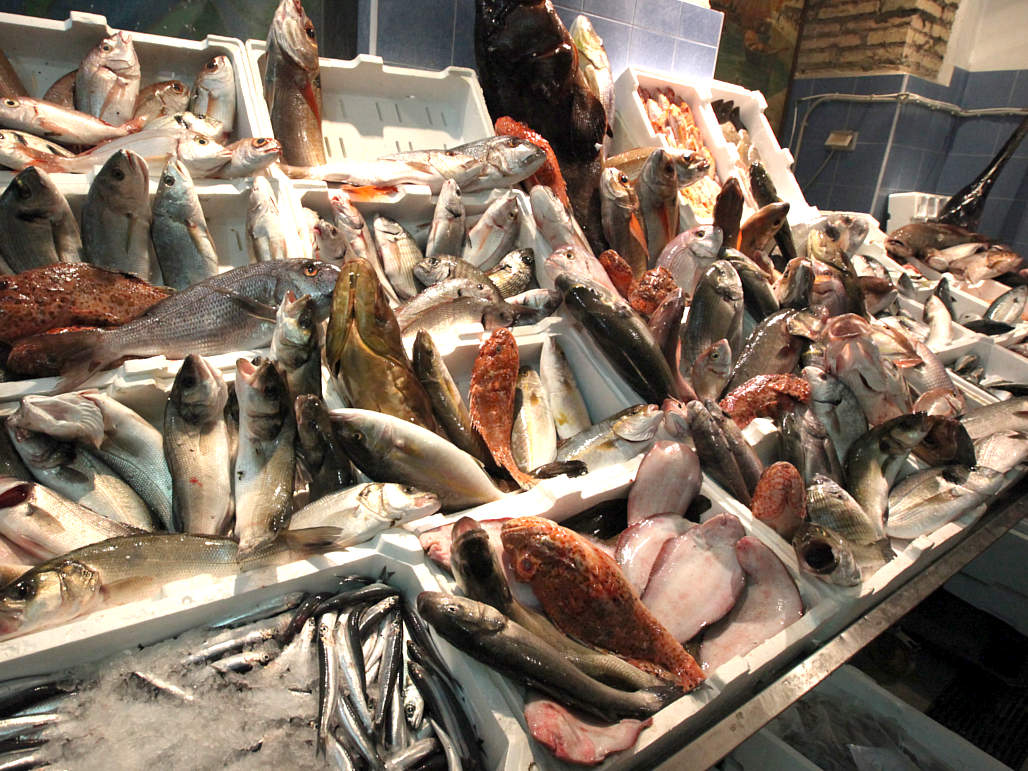 Antica-Pescheria-Galluzzi-a-Roma-banco-del-pesce-fresco