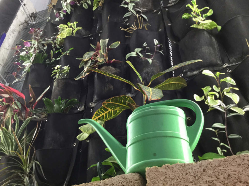 Grow-Shop-Italia-Megastore-vendita-articoli-e-attrezzature-per-coltivazione-outdoor-e-idroponica-a-Roma