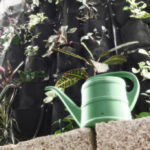 Grow Shop Italia Megastore