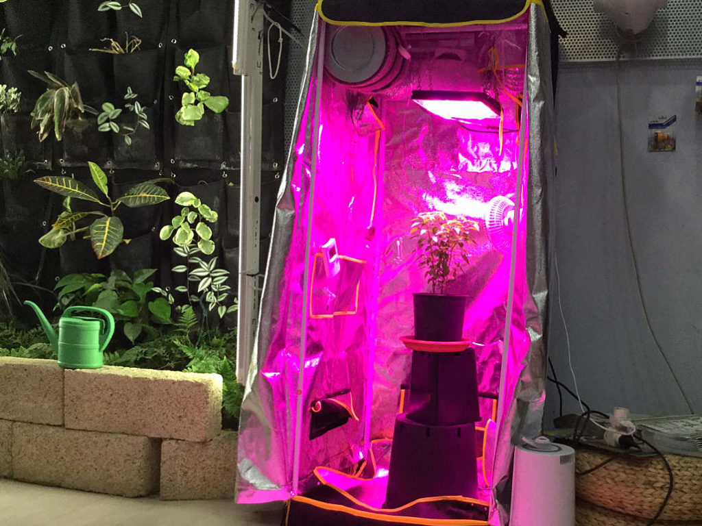 Grow-Shop-Italia-Megastore-vendita-grow-box-per-coltivazione-indoor-a-Roma