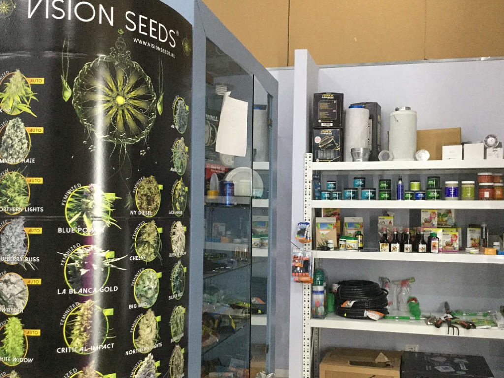 Grow-Shop-Italia-Megastore-vendita-semi-da-collezione-cannabis-a-Roma