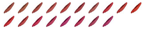 vibrant-lipstick-mesauda-colorazioni