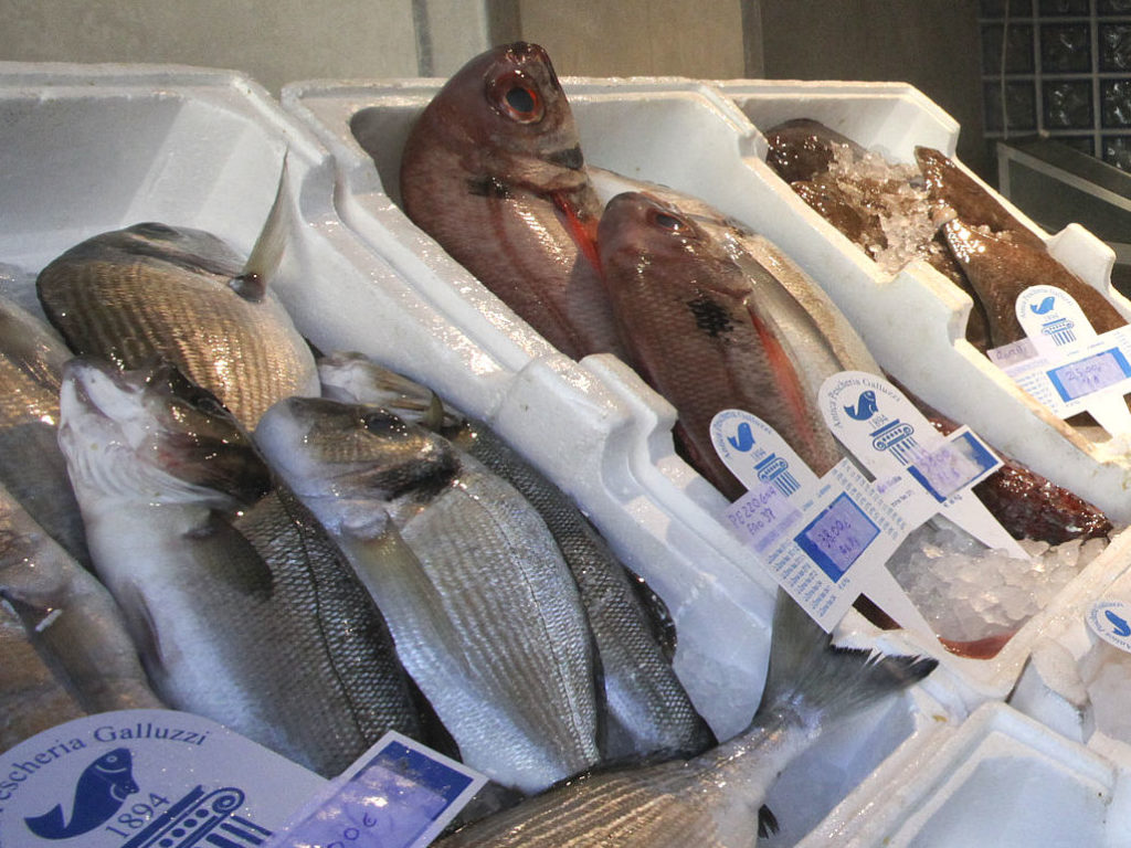 Antica-Pescheria-Galluzzi-Gregorio-VII-Roma-vendita-pesce-molluschi-e-crostacei-freschi