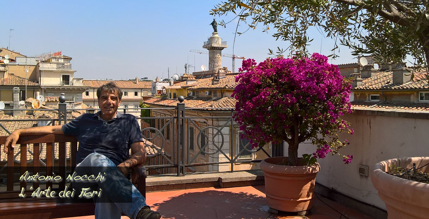 Antonio-Nocchi-L'Arte-dei-Fiori-manutenzione-piante-ornamentali-a-Roma