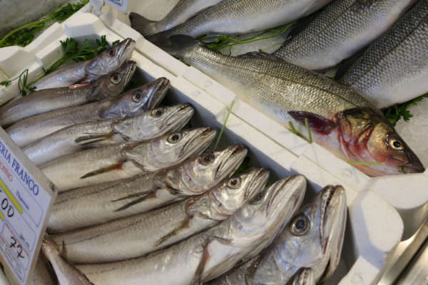 Pescheria-Mare-Mio-da-Franco-pescato-a-domicilio