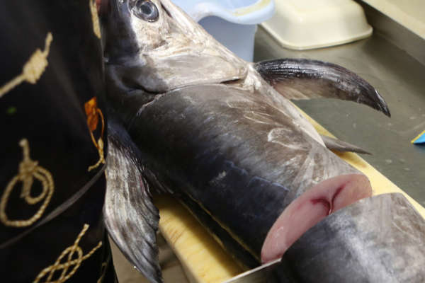 Pescheria-Mare-Mio-da-Franco-pescato-a-domicilio-roma-montesacro